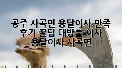 🚚 공주 사곡면 용달이사 만족 후기: 꿀팁 대방출! #이사 #용달이사 #사곡면